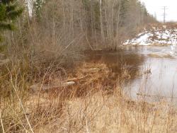 post-2838-0-62897300-1366459162_thumb.jp