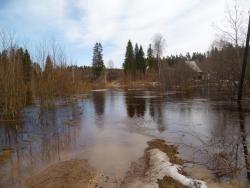 post-2838-0-70087600-1366367781_thumb.jp