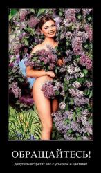 post-2838-0-75363700-1364985095_thumb.jp