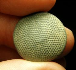 post-2838-0-78482700-1365744751_thumb.jp