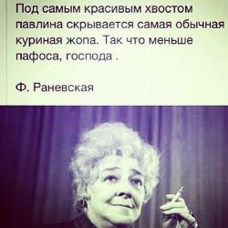 post-2838-0-88560600-1365831375_thumb.jp