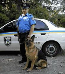 post-2838-0-94797800-1366532829_thumb.jp