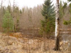 post-2838-0-95723400-1366459223_thumb.jp