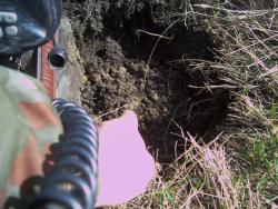 post-4269-0-19663000-1367231013_thumb.jp