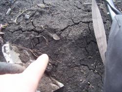 post-4269-0-71915300-1365950603_thumb.jp