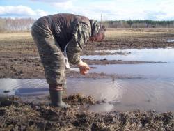 post-4269-0-88723900-1367072102_thumb.jp