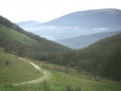 post-4489-0-15480400-1365194428_thumb.jp