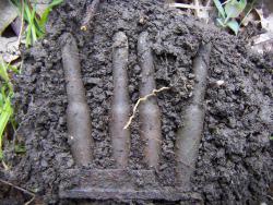 post-4489-0-19130300-1365707617_thumb.jp