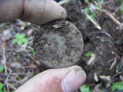 post-4489-0-22604900-1365263809_thumb.jp