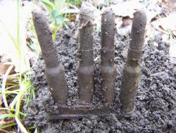 post-4489-0-22899500-1365707654_thumb.jp