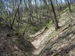 post-4489-0-25046100-1365707704_thumb.jp