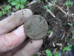 post-4489-0-43729300-1365264732_thumb.jp