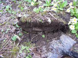 post-4489-0-45059400-1365261847_thumb.jp