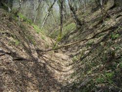 post-4489-0-55230900-1365707749_thumb.jp