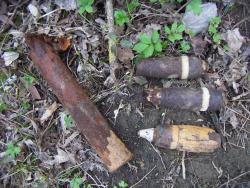 post-4489-0-58411100-1365244877_thumb.jp