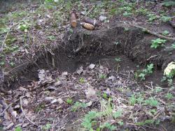 post-4489-0-74339200-1365243953_thumb.jp