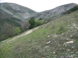 post-4489-0-90832800-1365191817_thumb.jp