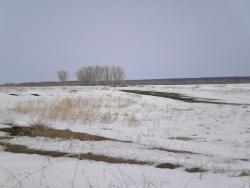 post-4632-0-85320800-1365338700_thumb.jp