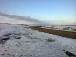 post-4732-0-16393200-1364967992_thumb.jp