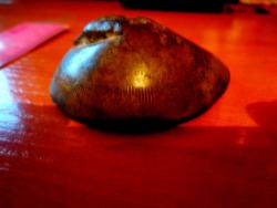 post-4732-0-22789800-1367242642_thumb.jp