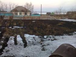 post-4732-0-48539500-1364968055_thumb.jp