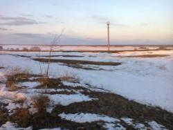 post-4732-0-64840800-1364968004_thumb.jp