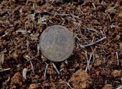 post-4732-0-65769300-1366720618_thumb.jp