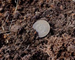 post-4732-0-96516400-1366720585_thumb.jp