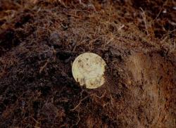 post-4732-0-98380200-1366720600_thumb.jp