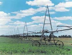 post-4840-0-22134200-1365274290_thumb.jp