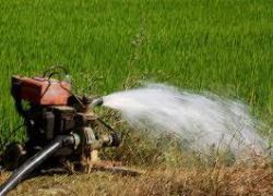 post-4840-0-82645200-1365274305_thumb.jp