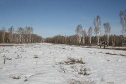 post-5279-0-81802400-1365952083_thumb.jp