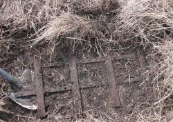 post-5773-0-63919200-1365865478_thumb.jp