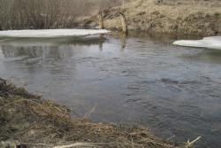 post-6245-0-13961700-1367166869_thumb.jp