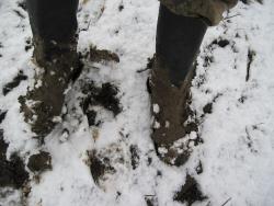 post-6245-0-30156800-1366459598_thumb.jp