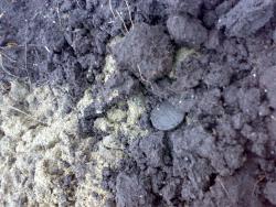 post-6685-0-05368700-1365950132_thumb.jp