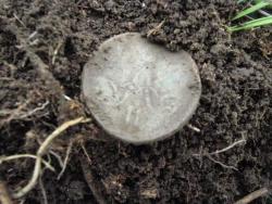 post-6890-0-00858600-1365869187_thumb.jp