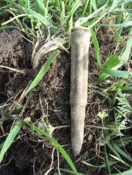 post-6890-0-12057900-1366560215_thumb.jp