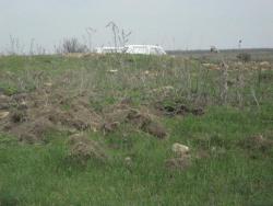 post-6890-0-34706000-1365869089_thumb.jp