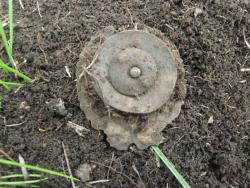 post-6890-0-40223200-1365869414_thumb.jp