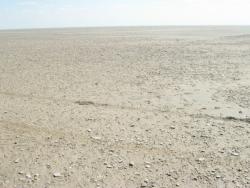 post-6890-0-42337200-1366217691_thumb.jp