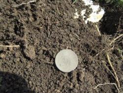 post-6890-0-43140500-1366559579_thumb.jp