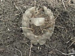 post-6890-0-51526800-1365869339_thumb.jp