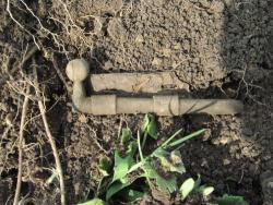 post-6890-0-64133900-1366562619_thumb.jp