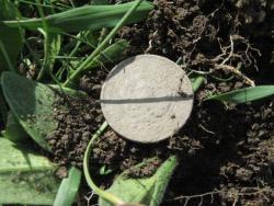 post-6890-0-73234000-1366559539_thumb.jp