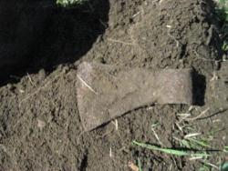 post-6890-0-79902800-1365947375_thumb.jp