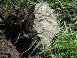 post-6890-0-80359600-1365947358_thumb.jp