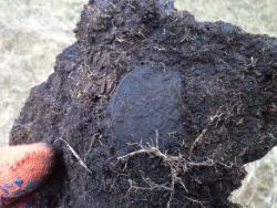 post-7121-0-21115600-1366441860_thumb.jp