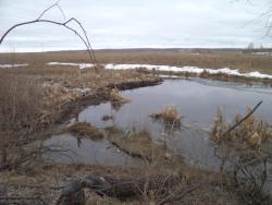 post-7121-0-21280400-1366441629_thumb.jp