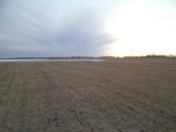 post-7121-0-63740600-1366441779_thumb.jp